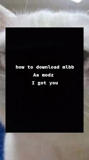 Complete Guide to Downloading AA Modz APK 2024