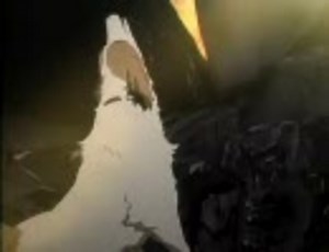 _____________________