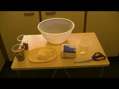 How to Make a Bird Cake