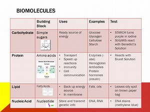 The Biomolecules