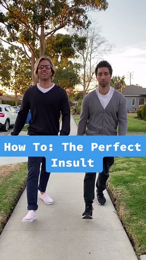 Mastering the Art of Insults: A Comprehensive Guide