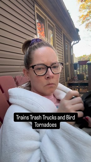 Within a few minutes the birds were 🔥 for morning coffee! ☕️ Ruby Crowned Kinglets, White-throated sparrows, Carolina Wrens, House finches, Carolina Chickadees, 🐥 Brown-headed nuthatches, saw a Yellow Rumped Warbler and a Pine Warbler. Then the Northern Flicker. CRAZY!!! 🤪 #birds #nature #birding #birdwatcher | Berd Nird