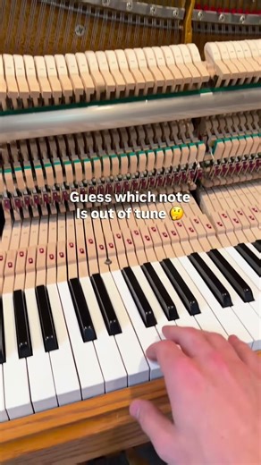 Guess which note is out of tune - level: impossible #funny #piano #pianodoctor #outoftune