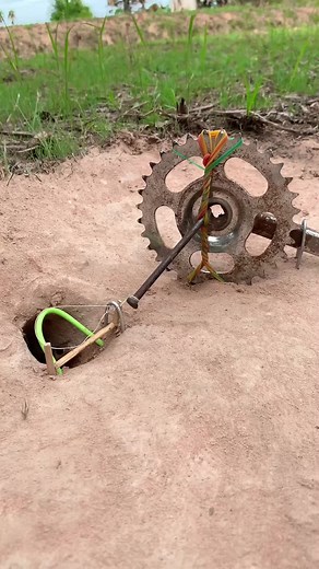 DIY Snake Trap using Bicycle chain #snaketrap #creativesnaketrap #buildsnaketrap