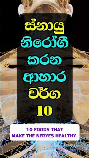 ස්නායු වලට ගුණදායි ආහාර වර්ග 10 🍛 | #healthyfood