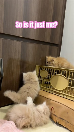 Does your best friend even have a real name? 😂💀 #shorts