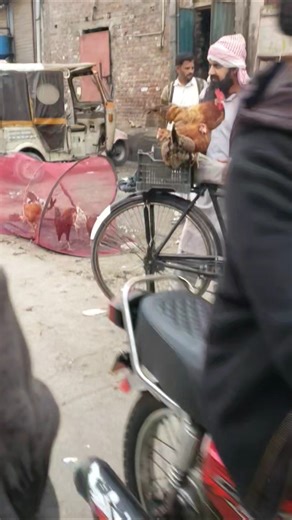 Sunday Aseel Murgh Mandi Larri Ada Lahore ||ASEEL MURGH MANDI #aseel #aseelmurga #chicken