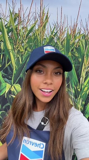 3 Key Insights on Biofeedstocks for Renewable Fuels