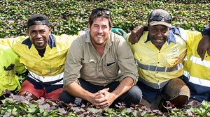 Farmers proving more productive with fewer workers