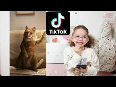 Les musiques les plus populaires sur TikTok en 2020