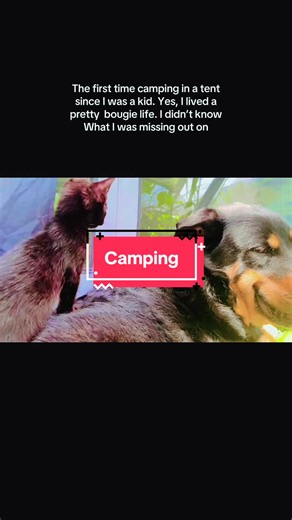 Camping supports mental health by lowering cortisol (stress) and releasing feel-good chemicals like serotonin and dopamine. It helps by:Resetting your internal clock: Natural light exposure realigns your circadian rhythm, improving sleep quality.Reducing digital overload: Unplugging lowers anxiety and relieves