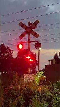 【全方向ツアー】JR東日本でよくみかけるJR九州では少し数が少ないいちごの形にみえる全方向の警報灯が付いてる歩行者専用の踏切【鹿児島本線】