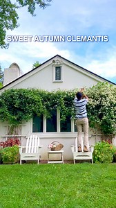 663K views · 10K reactions | Easy Beautiful Flower Arrangement from Garden at Home Early Autumn | Cranery Gardens | Facebook