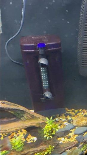 Fluval u2 internal filter is it worth it??￼