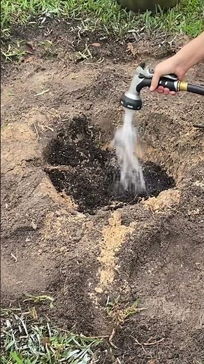 Planting Fruit Trees the Easy Way