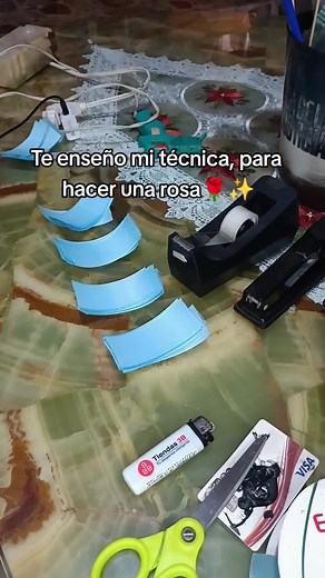 eternal roses on TikTok