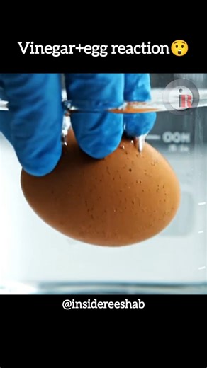 Making bubbles with Vinegar and Egg😲