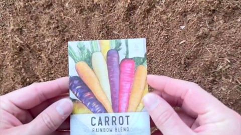 Ourokhome Vegetable Chopper Onion Cutter, 12 in 1 Professional Mandoline Slicer for Kitchen, Multifunctional Food Chopper for Potato, Tomato, Veggie with Strainer Basket, 8 Blades, Gray