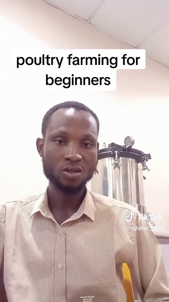 Consejos para iniciar un negocio de avicultura