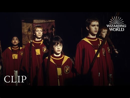 Harry Potter - Harry Catches The Snitch - For Beginners