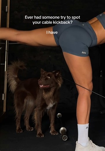 Helping Hands: Gym Humor with Dogs