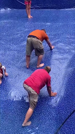 No need to buy a slide for the pool! 🤣 #afv #Summer #fail #pool #fall #funnyvideos | America's Funniest Home Videos