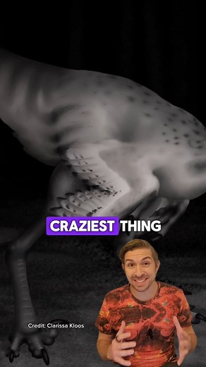 16K views · 602 reactions | 秊If you want to stay up to date on new dinosaurs and the newest research on them, then you’d love Daily Dino Direct, my new paleo membership complete with early access to videos plus monthly masterclasses. Comment “DINO DIRECT” to learn more and sign up today!練 #dinosaur #dinosaurs #dinos #fossil #fossils #naturalhistory #paleontology #paleontologists #paleontologist #scicomm #science #JurassicWorld #JurassicPark | Daily Dino Guy | Facebook