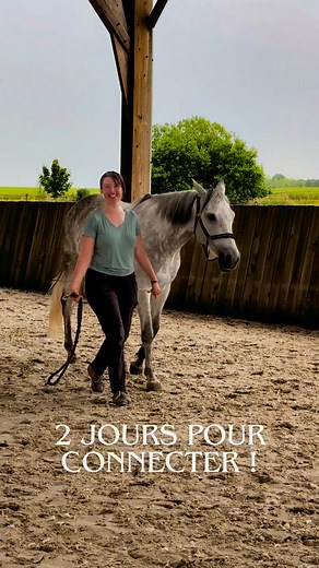 Ce post t’inspire ? Laisse-moi ton retour ou un 💕 en commentaire, et partage-le autour de toi ! C’est ce qui me motive à publier. 😊Et si tu veux toi aussi apprendre à connecter en liberté avec ton cheval, réserve vite un stage ! #cheval #équitation #equitationbienveillante #equitationconsciente #travailapied #formationequestre #libertyhorse #libertyhorsetraining #libertyhorsemanship | Laure Souquet - Équinessentiel - De Femme à Cheval