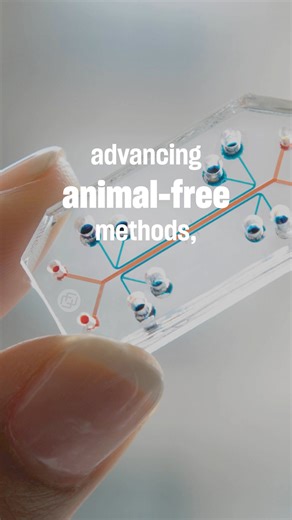 📣 It’s time to take suffering out of science. Every year, animals are subjected to painful experiments—yet most of these tests fail to predict how humans will respond to these products. Outdated tests are cruel and ineffective. We’re leading the way to promote humane research alternatives and eliminate animal testing with methods that are not only kinder but safer, faster and more reliable. Add your voice today. ✍️ Sign our petition to support leaders who are ready to move away from animal test