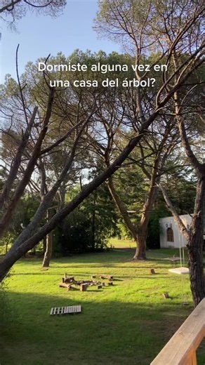 Es hermoso dormir en una casa del árbol!
