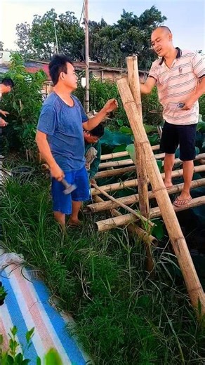 May 17, 2026 Preparations are underway to build a small house out of bamboo. #shorts #trending