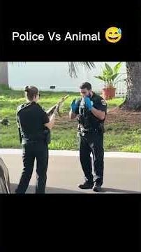 Florida police vs giant alligator #shorts #cops #alligator