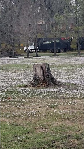 Oxford, MS Tree disposal vehicle | commonly seen
