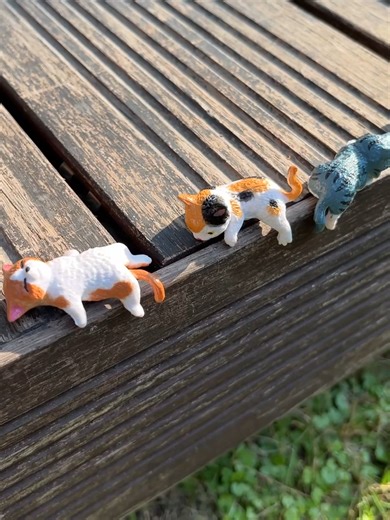 Work from Home Setup with Adorable Cat Companion