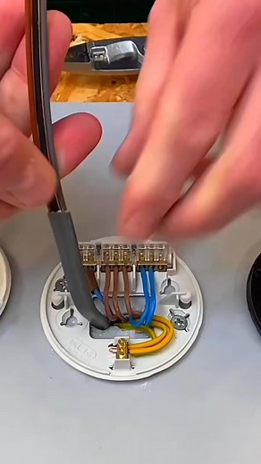 Stop Guessing! How to Identify 3-Core Cable in Lights #electricalwork #electricalwiring #gshelectrical | GSH Electrical Training