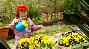 Boogie Beebies Gardening Cbeebies