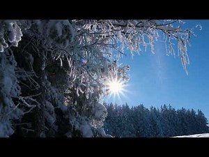 Beautiful Falling Snow & Feel Good Music Uplifting Background Music Relaxing Snowfall | 5 Hour