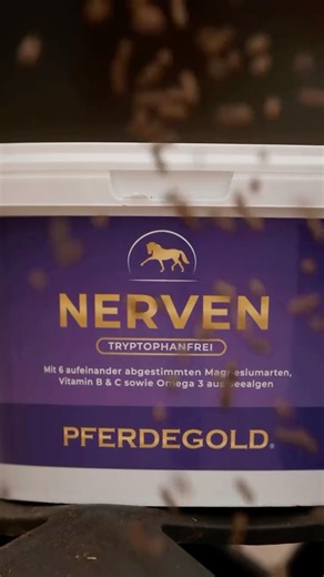 Niklas Roeber | Natürliche Unterstützung für nervöse oder gestresste Pferde – melassefrei. Mit Pferdegold Nerven 2.0 erhält dein Pferd eine durchdachte... | Instagram