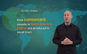 英语语音Introduction to Articulatory Phonetics (Consonants)