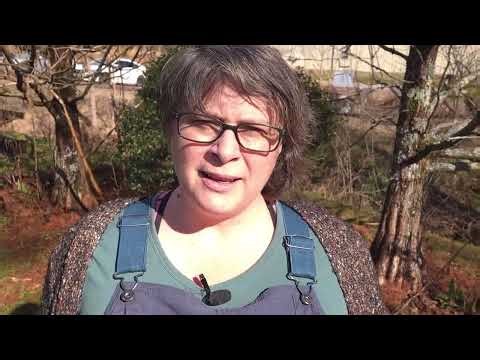 Live Staking & Bare Root Planting Workshop | Native Plant Restoration Techniques