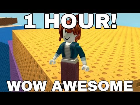If you hate roblox then get off my page (1 hour)