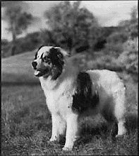 About Us - The Milo Foundation