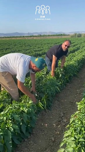 3.3K views · 1.3K reactions | ربي يعين الرجال، فكرة عن حرفائا الي...