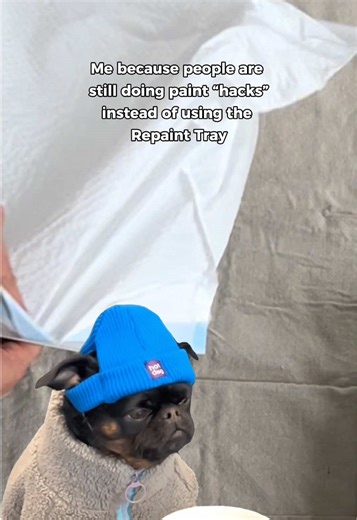 There’s a better way: The Repaint Tray. Less mess, less stress. Better for you and the planet! 💚 #repainttray #repaint #paint #painthack #diy