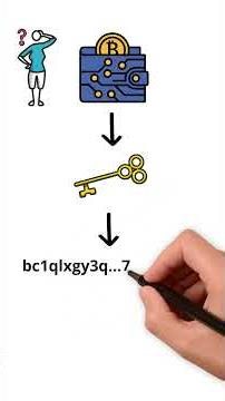 Bitcoin wallets hold 0 BTC. Here's Why.