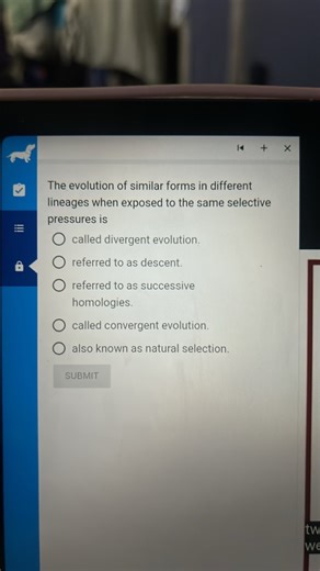The evolution of similar forms in different lineages when expos... | Filo