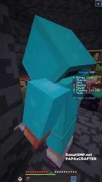 DONUT SMP Minecraft TP to Viewer
