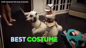 This kid’s ‘Star Wars’ Tauntaun costume is next level. What's the best Halloween costume you've ever seen? http://6abc.cm/2esHGk0 | 6abc Action News