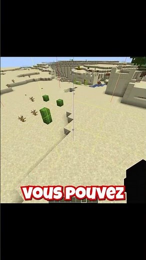 Voir les bordures des chunks Minecraft