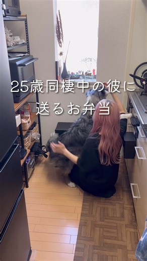 ご飯ですよチャーハン弁当 アレンジ | 冷凍ご飯の簡単レシピ